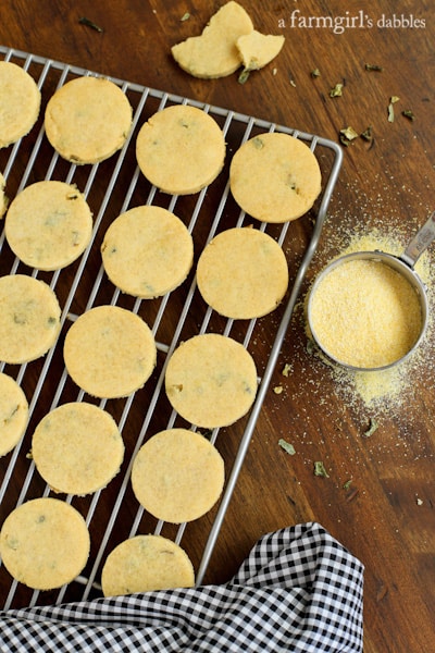 Corn Cakes without toppings on a cooling rack