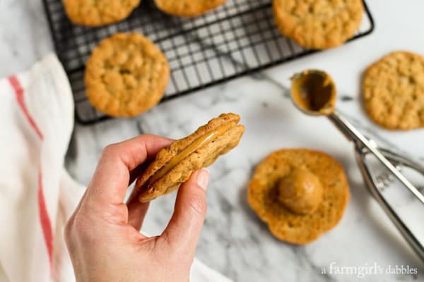 cookies with peanut butter frosting