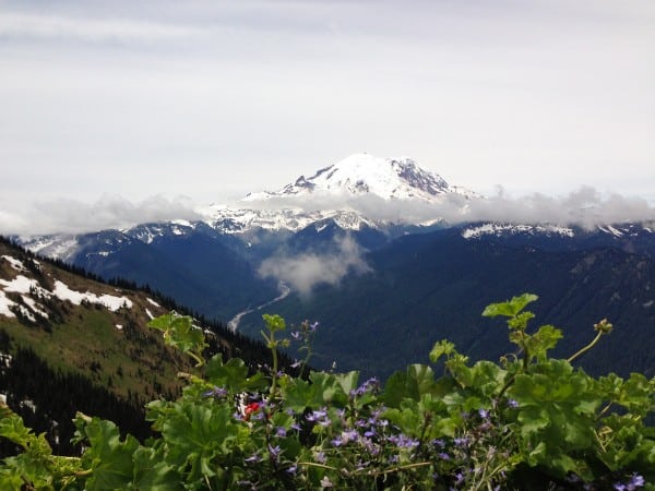 Mount Rainier National Park