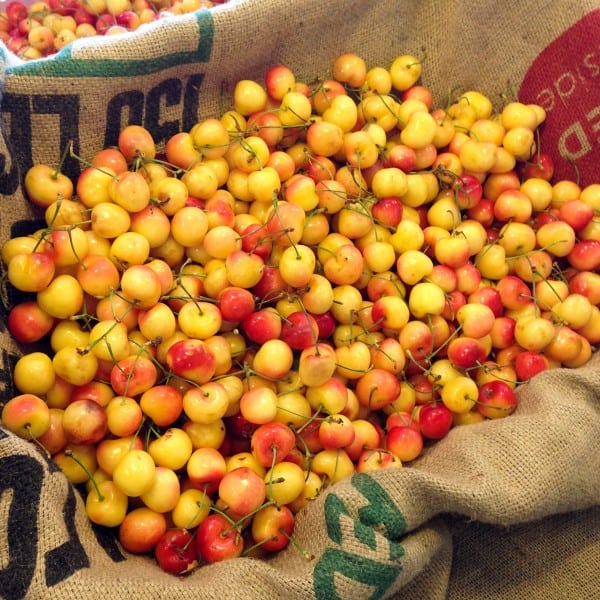 rainier cherries being sold at Pike Place Market