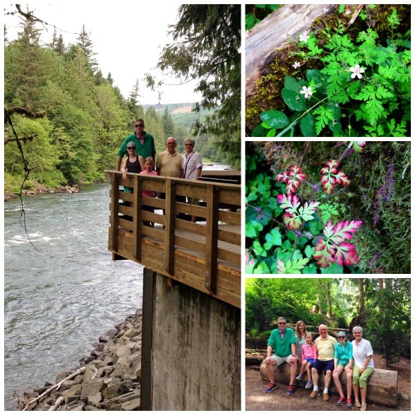 collage of Snoqualmie Falls, Washington