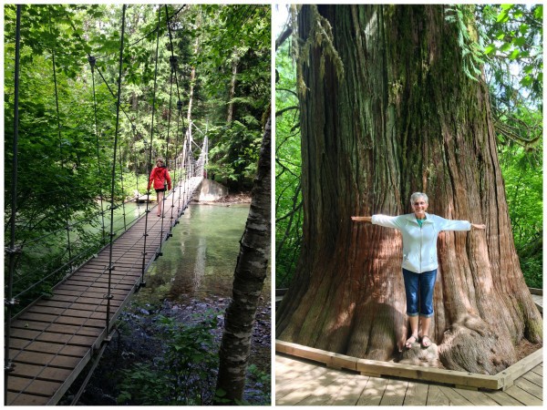 a collage of photos from Mount Rainier National Park