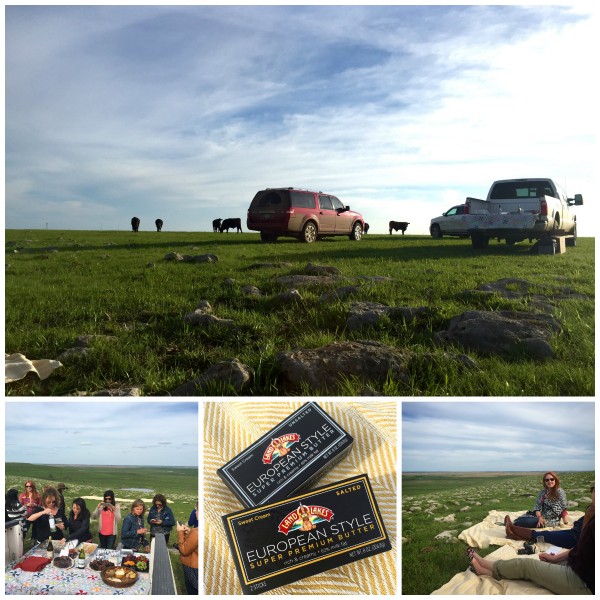 Picnic in the pasture