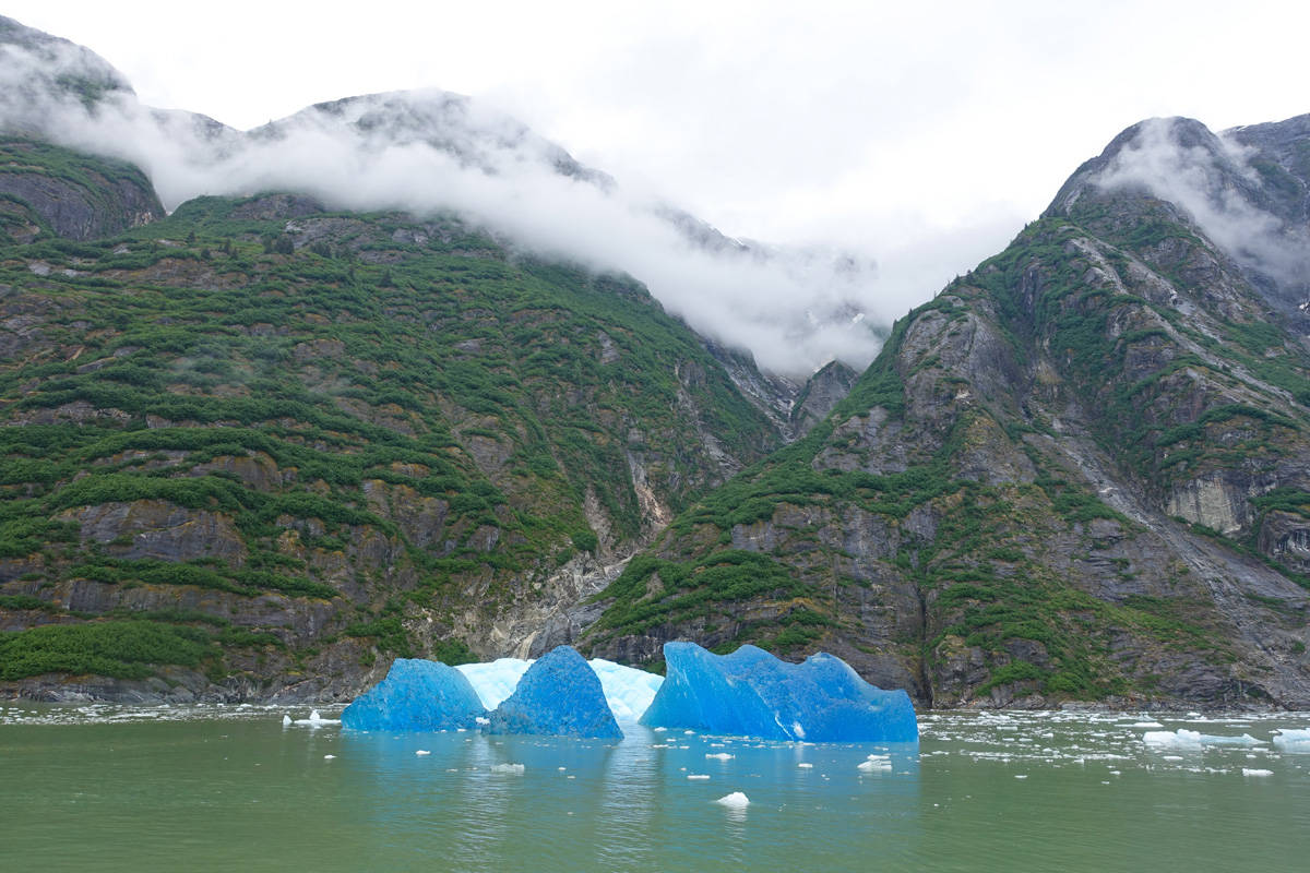 Tracy Arm Fjord in alaska