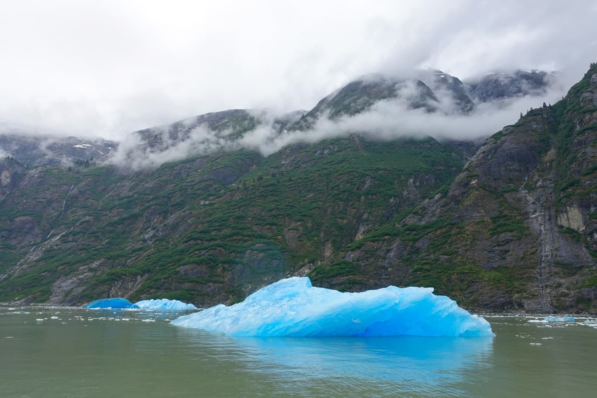 Tracy Arm Fjord