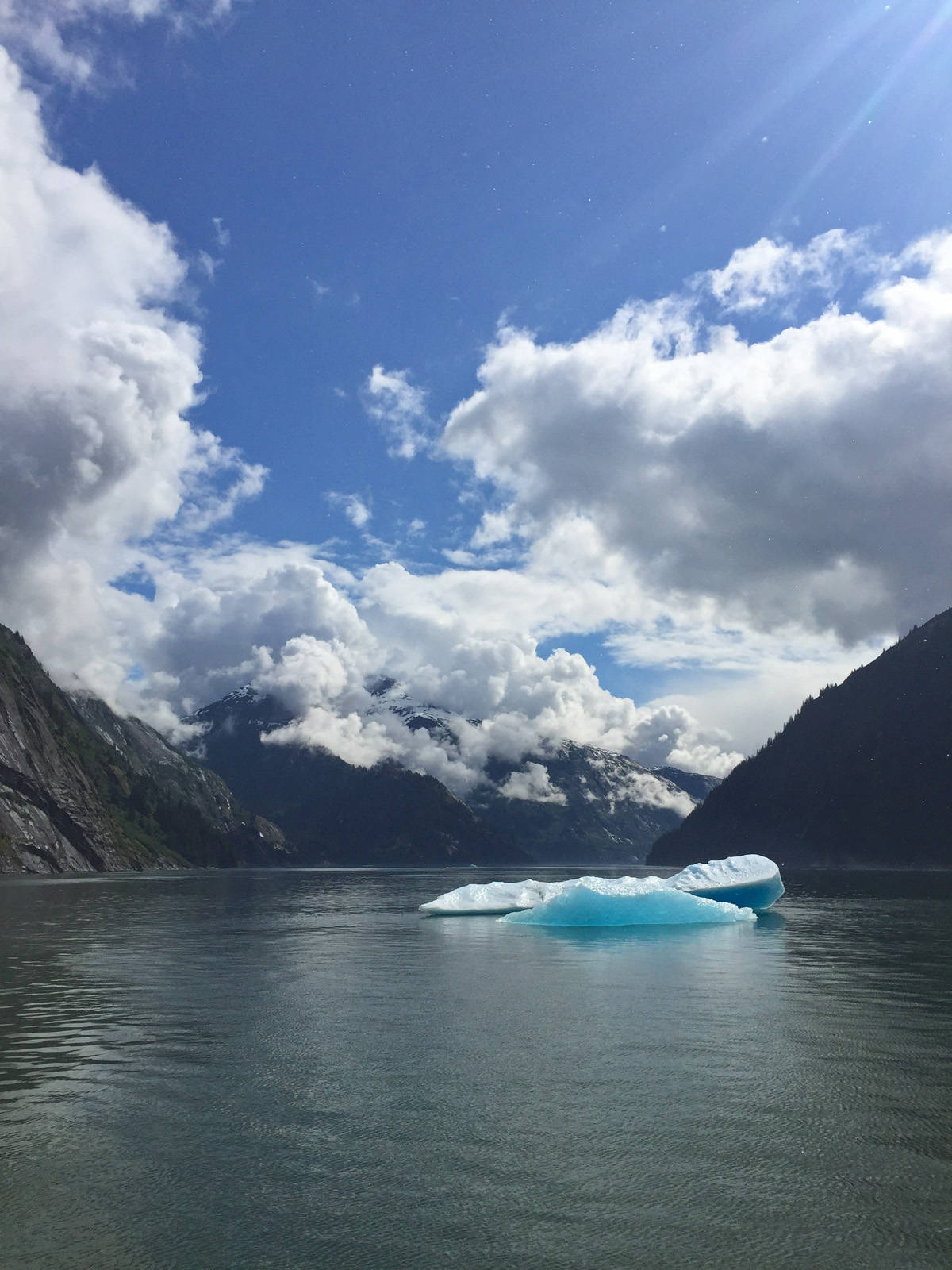 Tracy Arm Fjord