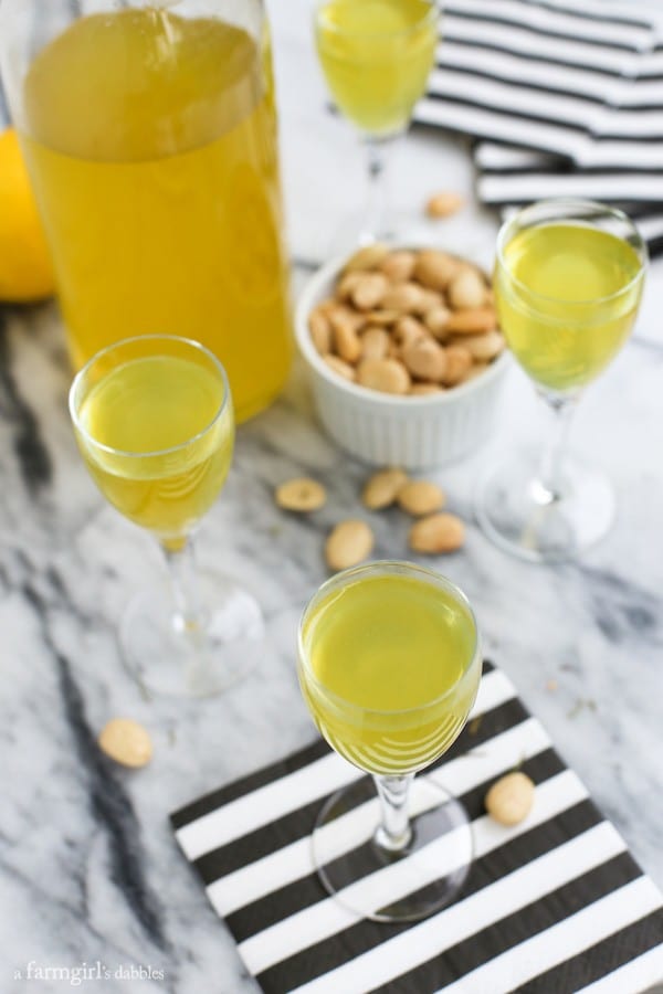 small cocktail glasses of Homemade Limoncello with a dish of nuts