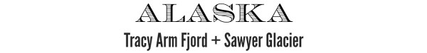 TracySawyerHeader