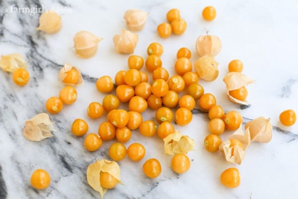 ground cherries