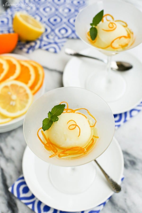 a frosted martini glass of Lemon Sorbet with Candied Orange Peels on top