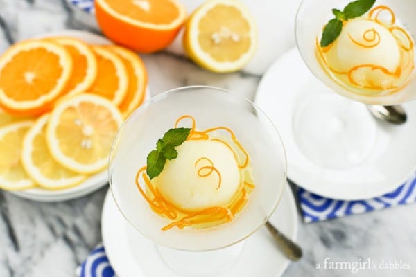 fresh orange slices on plate with glasses of Lemon Sorbet