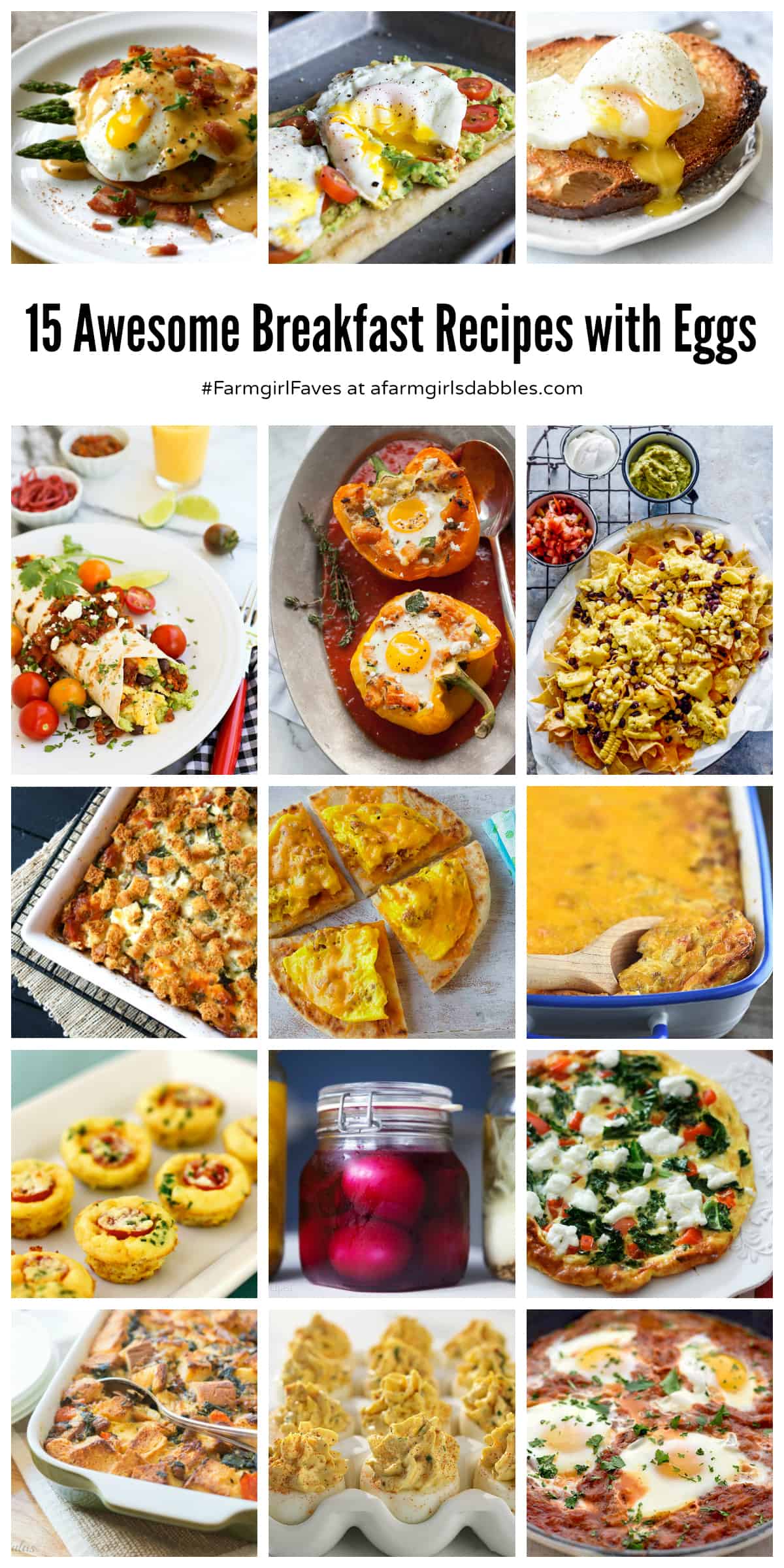 15 Awesome Breakfast Recipes with Eggs - A Farmgirl's Dabbles