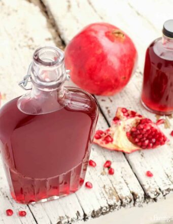 pomegranate shrub