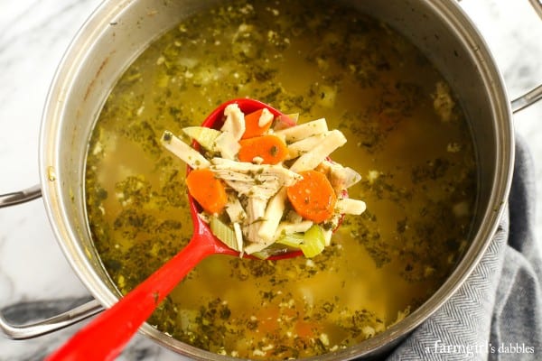 Homemade Chicken Noodle Soup in a pot with a red ladle taking a scoop