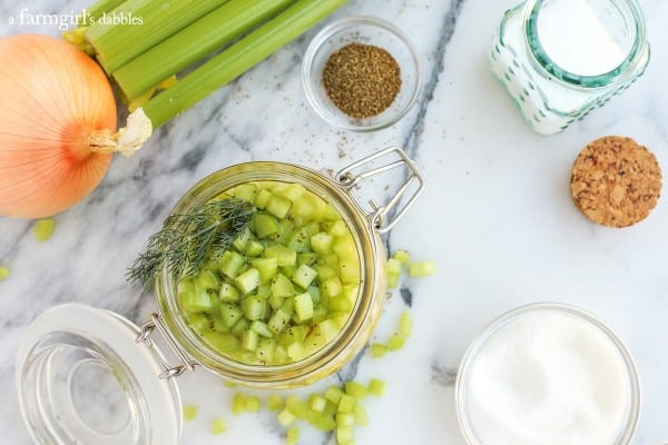 celery, onions, salt, and vinegar