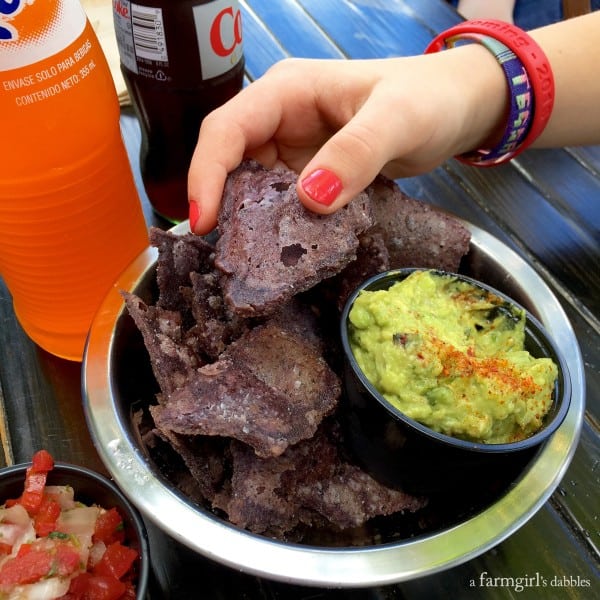 masa chips from Taquiza in Miami