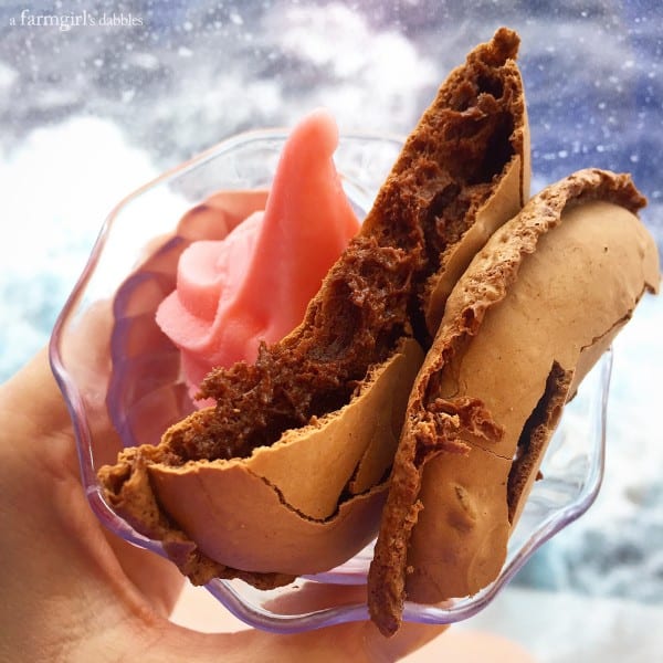 chocolate meringue cookies and strawberry ice cream Aboard the Carnival Breeze