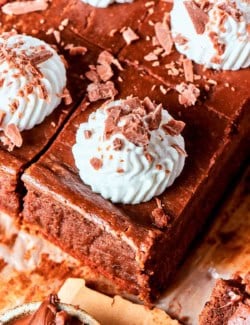 Sliced Nutella cheesecake bars topped with whipped cream and chocolate shavings.