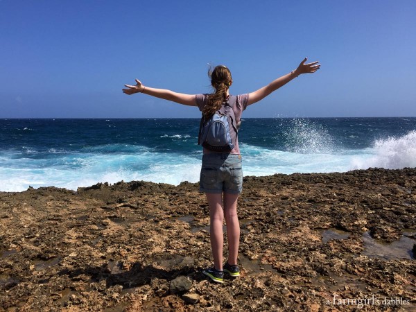 on the rocky shore of Aruba