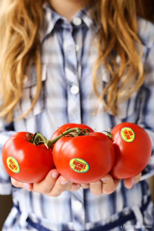 Bushel Boy Tomatoes