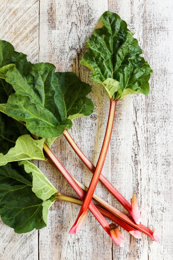 Rhubarb stalks