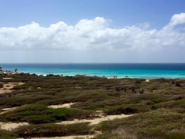 beach in aruba