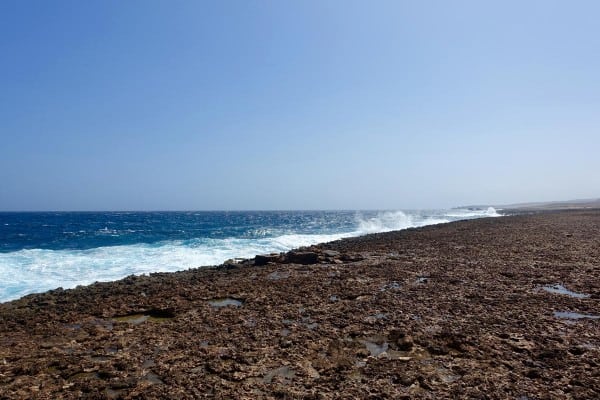 rocky coastline of Aruba