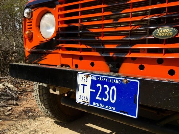 orange tiger painted land rover