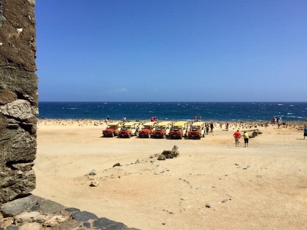 Aruba Island Tour vehicles in a line