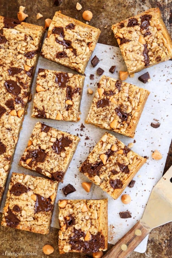 Butterscotch Chocolate Chunk Blondies with Smoked Salt cut into squares