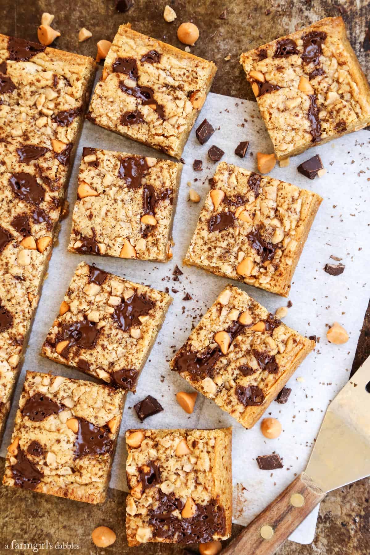 Butterscotch Chocolate Chunk Blondies with Smoked Salt {the 3-minute ...