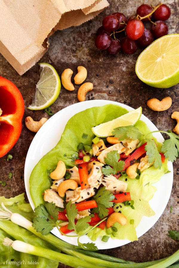 Cashew and Curry Tilapia Lettuce Wraps with fresh green onions and red bell peppers