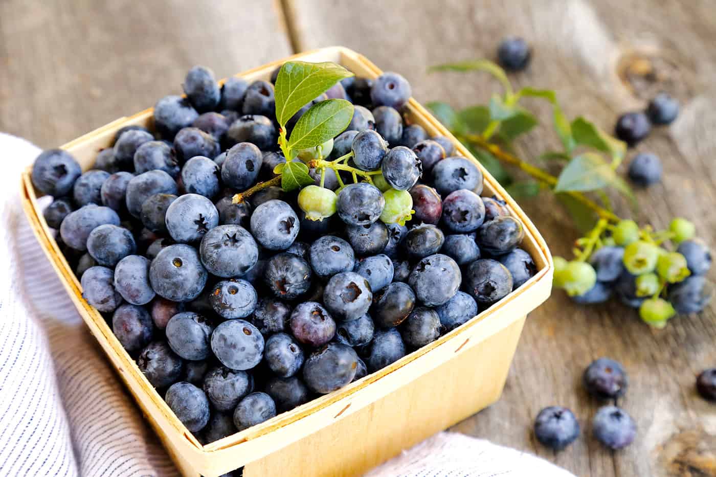 A pint of freshly picked blueberries