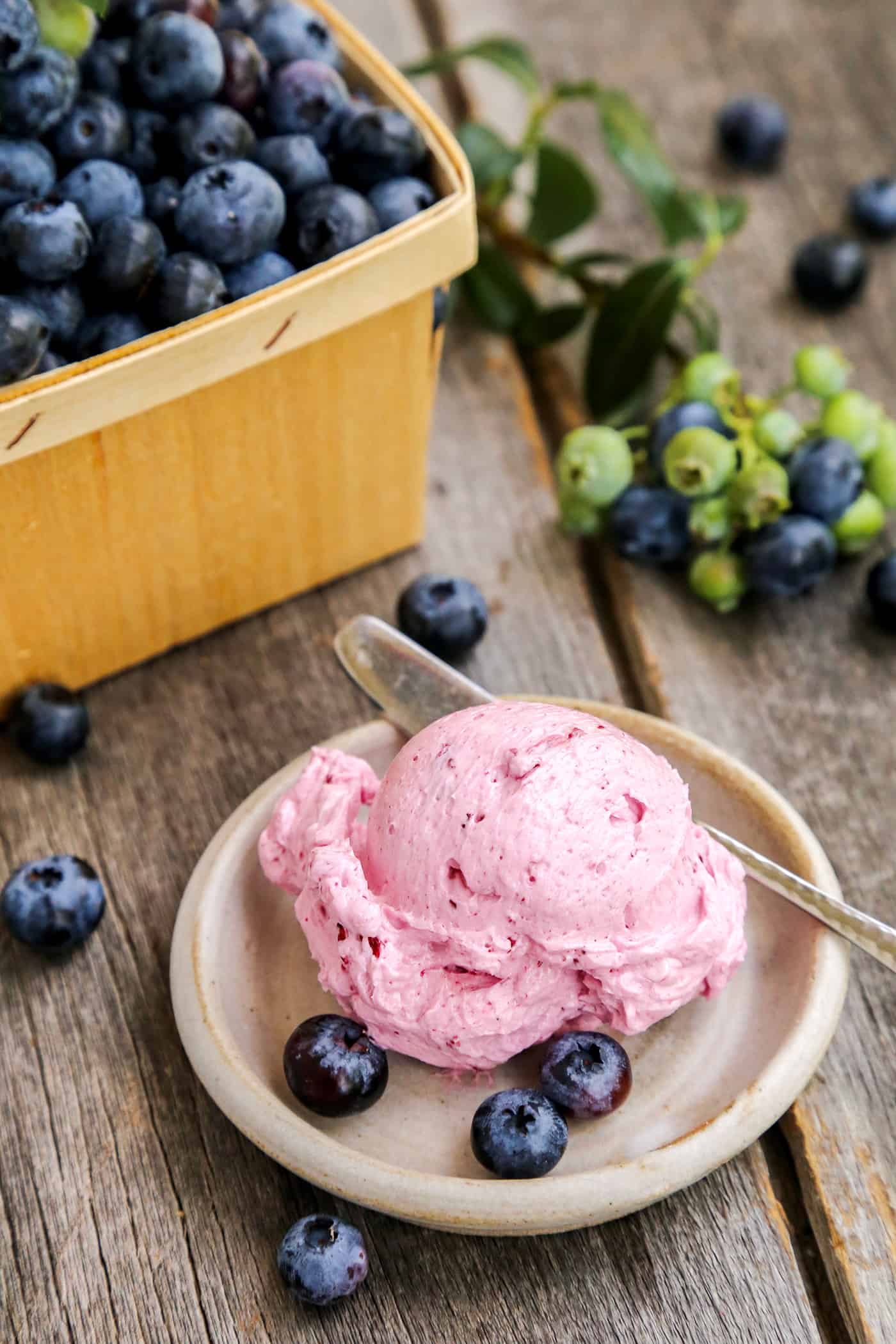 A scoop of blueberry butter on a plate