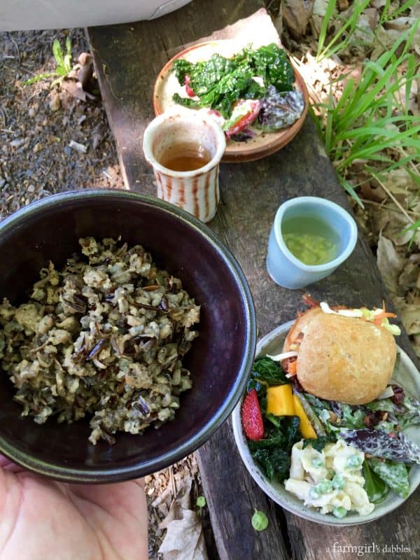 an outdoor lunch