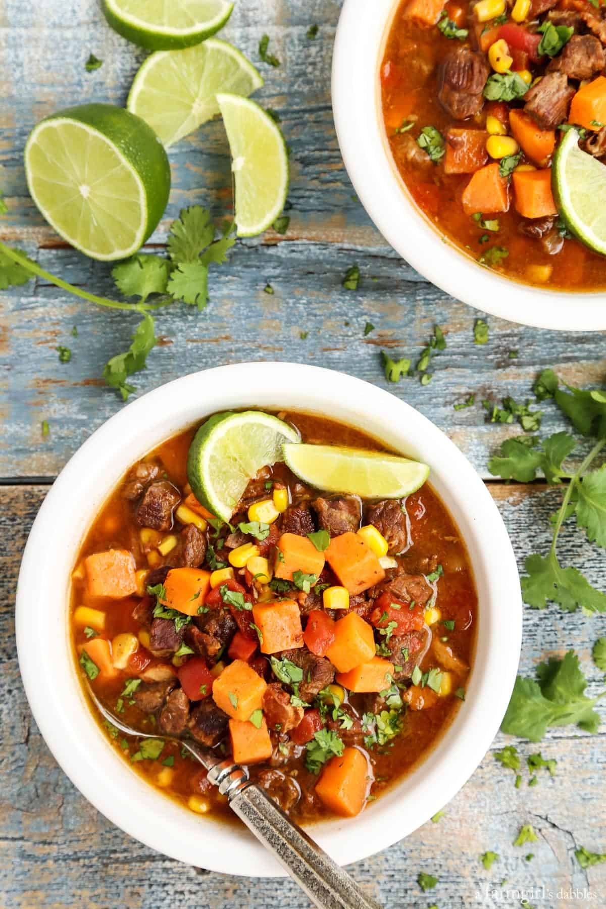 Slow Cooker Beef Stew with Sweet Potatoes - A Farmgirl's Dabbles