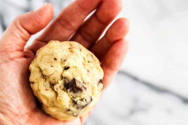 chocolate chip cookie dough in palm of hand