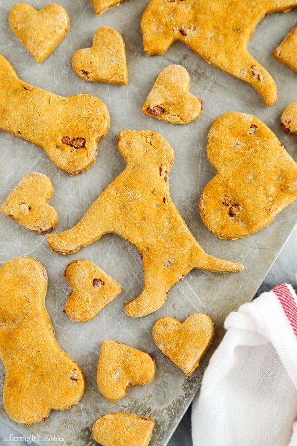 Homemade Pumpkin Bacon Dog Treats on a baking sheet