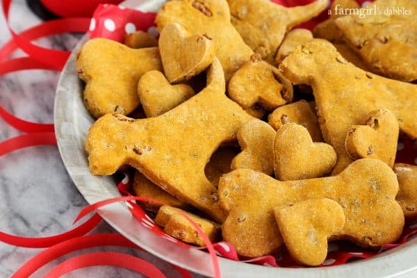 Homemade Pumpkin Bacon Dog Treats in a pie plate