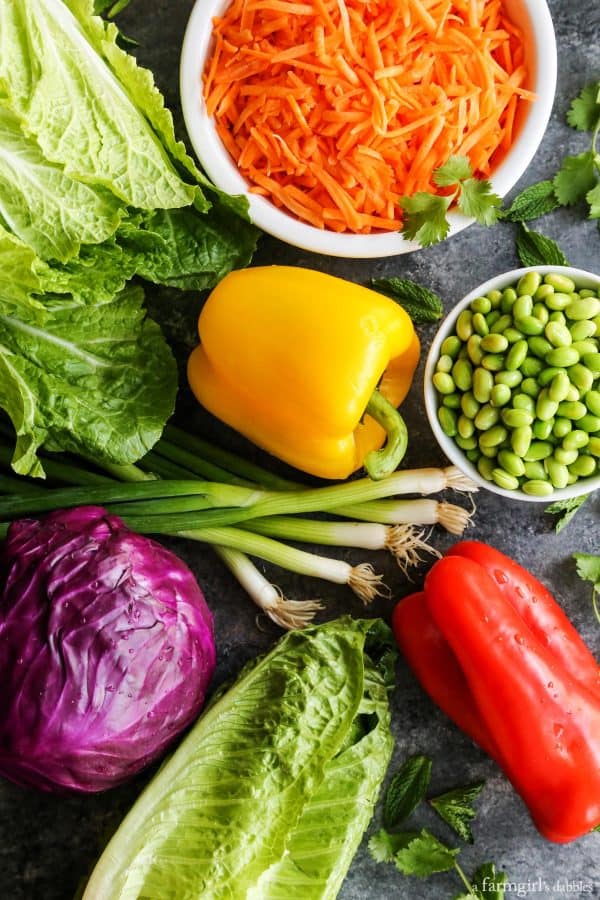 ingredients for Chopped Salad with Coconut Green Curry Dressing