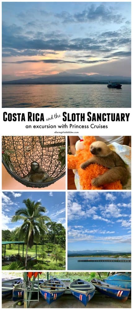 pinterest image of Costa Rica and the Sloth Sanctuary