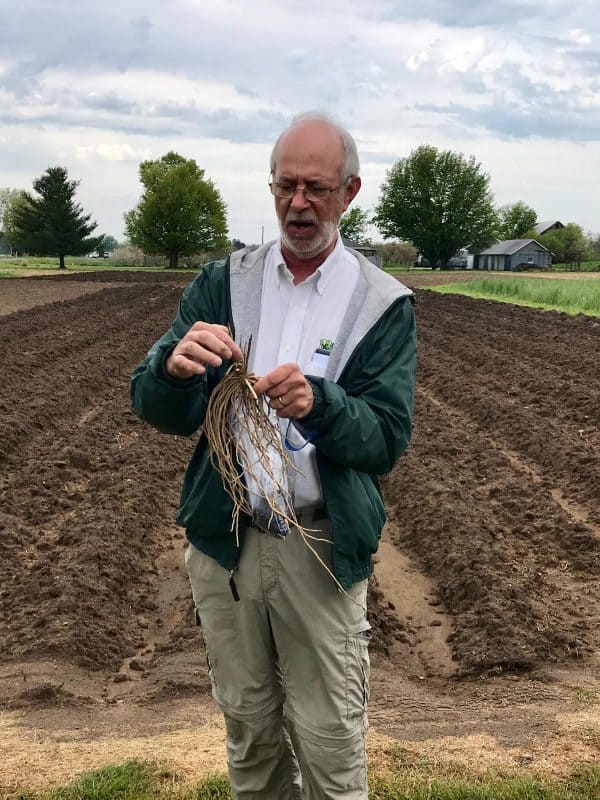 man in an asparagus field