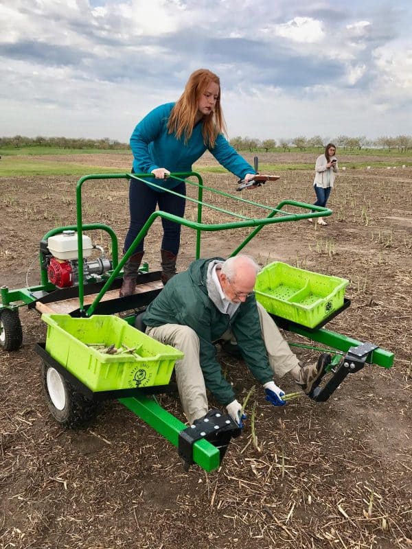 asparagus picking machine