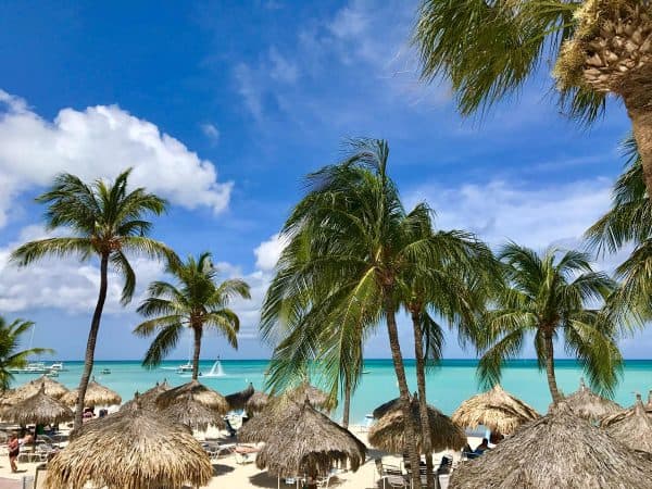 the beach in Aruba