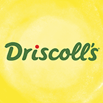 Driscoll's logo