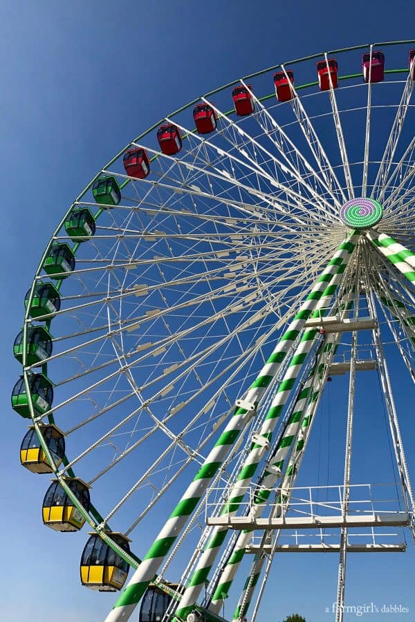 a ferris wheel