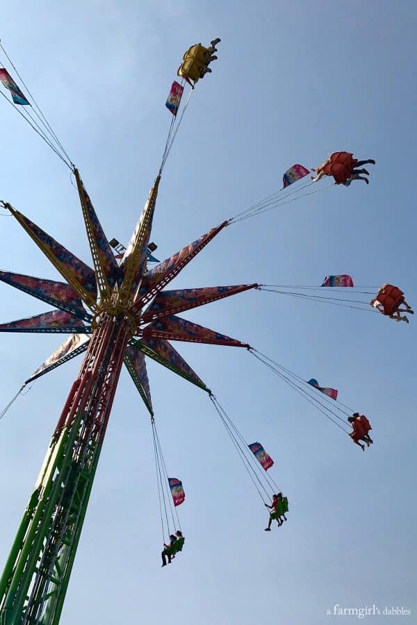 swing ride at the minnesota state fair