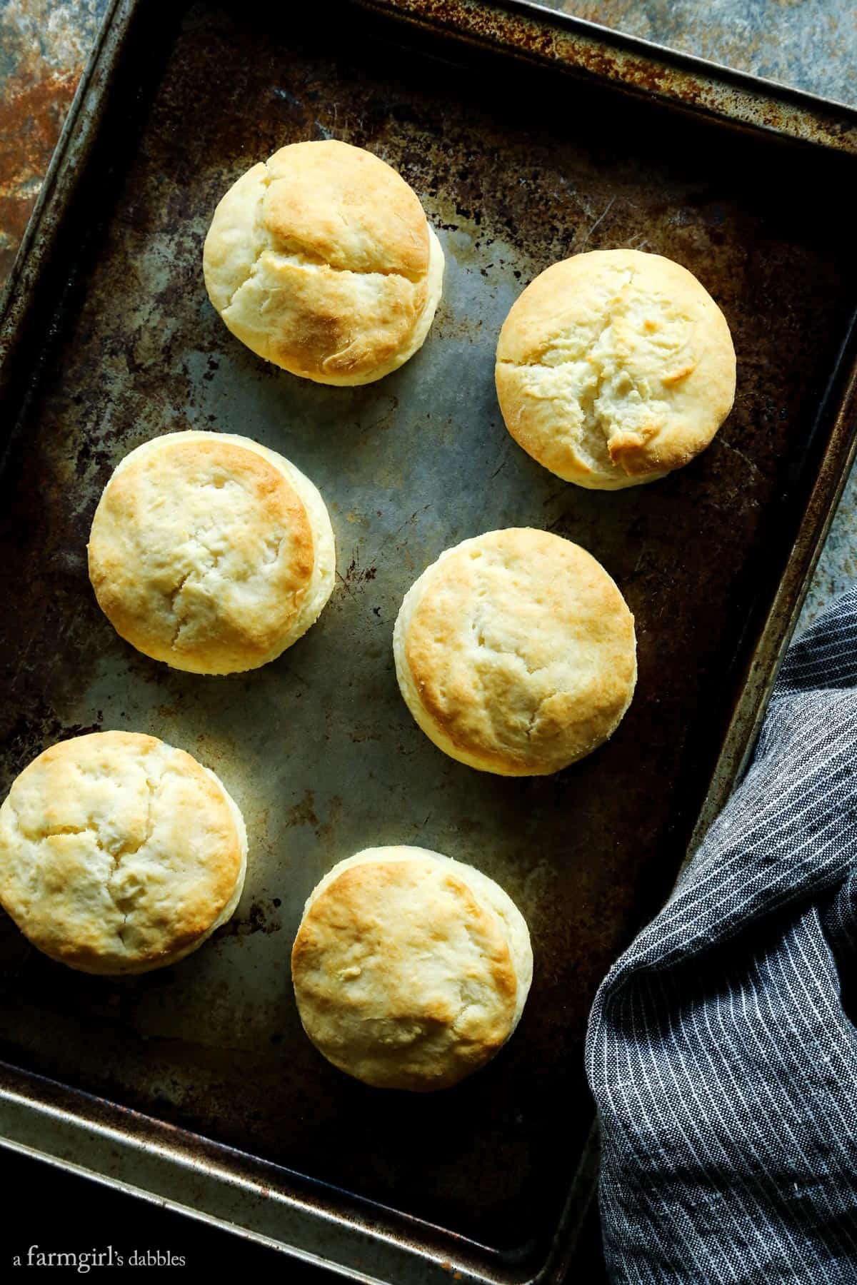 Cream Biscuits on a baking sheet