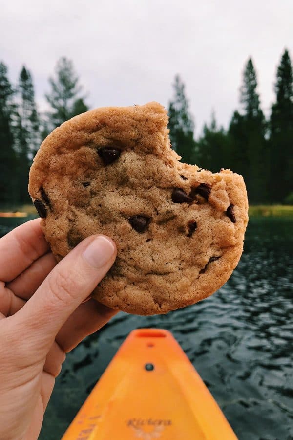 a chocolate chip cookie with a bite taken out