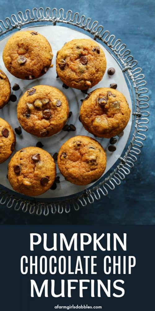 pinterest image of Pumpkin Chocolate Chip Muffins